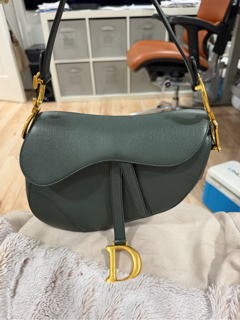 Dior Forest Green Saddle Crossbody with Gold 'D' Charm - Picture 1 of 14